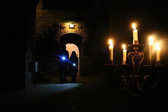 Die Artenvielfalt der nachtaktiven Tiere im Kyffh&auml;user (Foto: Stadtmarketing Bad Frankenhausen)