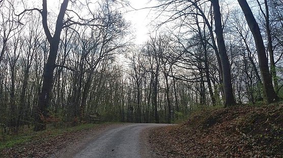 1. April Bismarckturm ge&ouml;ffnet (Foto: Dorothea Kieper)
