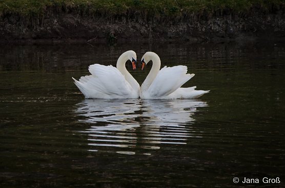 Foto Crashkurs in der Volkshochschule (Foto: Jana Gro&szlig;)