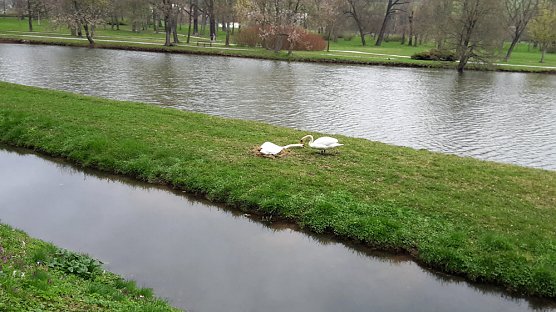 Eigenheim im Bau (Foto: Privat)