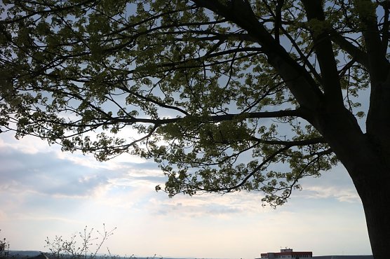 Wetterbild (Foto: Angelo Glashagel) Wetterbild (Foto: Angelo Glashagel)