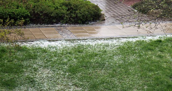 Was für eine verrückte Welt (Foto: Karl-Heinz Herrmann) Was für eine verrückte Welt (Foto: Karl-Heinz Herrmann)