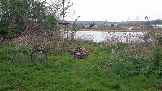 Was für eine Leistung (Foto: Karl-Heinz Herrmann) Was für eine Leistung (Foto: Karl-Heinz Herrmann)