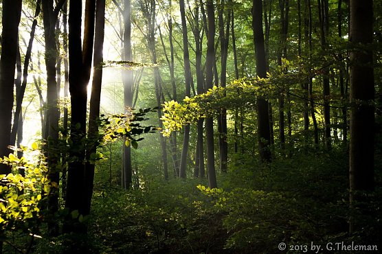 Wetterbild (Foto: Gernot Thelemann) Wetterbild (Foto: Gernot Thelemann)