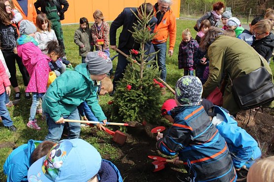 Wettergl&uuml;ck beim Baumfest (Foto: Karl-Heinz Herrmann)