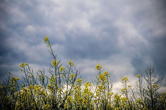 Wetterbild (Foto: Gernot Thelemann) Wetterbild (Foto: Gernot Thelemann)
