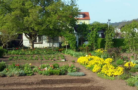 Kleingärtner sind immer Naturfreunde (Foto: Thomas Leipold) Kleingärtner sind immer Naturfreunde (Foto: Thomas Leipold)
