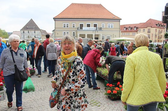 Grüne und bunte Oase Sondershausen (Foto: Karl-Heinz Herrmann) Grüne und bunte Oase Sondershausen (Foto: Karl-Heinz Herrmann)