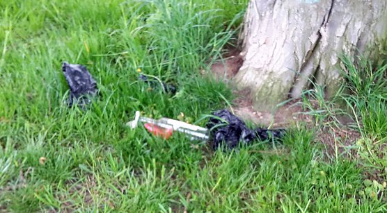 Probleme mit der Sauberkeit (Foto: Karl-Heinz Herrmann) Probleme mit der Sauberkeit (Foto: Karl-Heinz Herrmann)