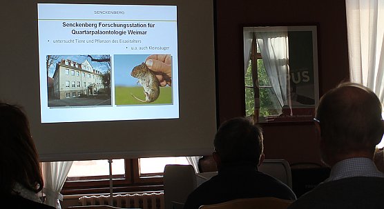 Murmeltiere in Sondershausen? (Foto: Karl-Heinz Herrmann)