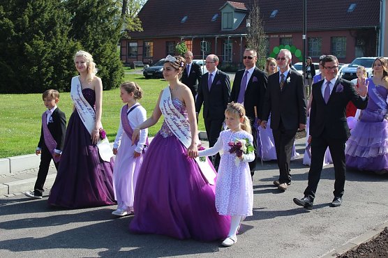 Fliederz&uuml;chtung nach Bad Frankenhausen benannt (Foto: Karl-Heinz Herrmann)