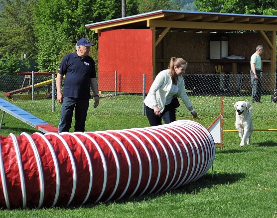 ABC Hundeschule (Foto: ABC Hundeschule) ABC Hundeschule (Foto: ABC Hundeschule)