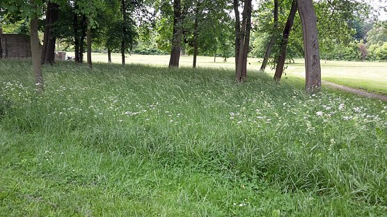 Sondershausen macht sich schick (Foto: Karl-Heinz Herrmann) Sondershausen macht sich schick (Foto: Karl-Heinz Herrmann)