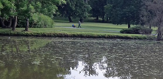 War es der Fuchs? (Foto: Karl-Heinz Herrmann)