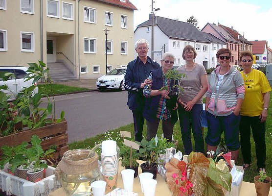 Dieses war der 3. Streich�. (Foto: Peter Zimmer)