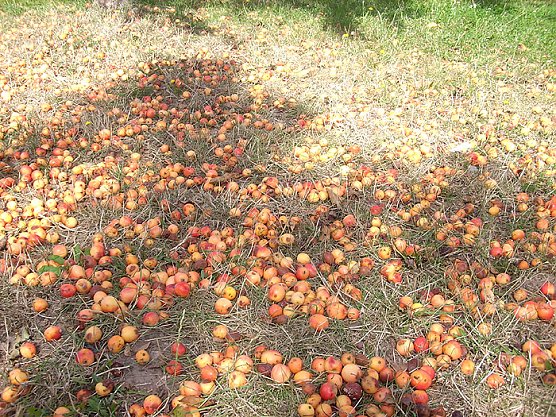 Spielplatz Östertal (Foto: Karl-Heinz Herrmann) Spielplatz Östertal (Foto: Karl-Heinz Herrmann)