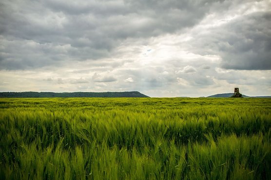 Wetterbild (Foto: Gernot Thelemann) Wetterbild (Foto: Gernot Thelemann)