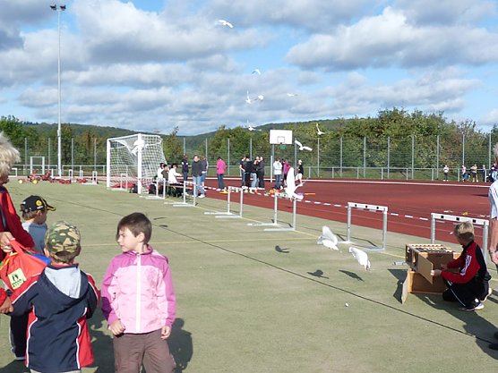 4. St&auml;dte-Marathon in Sondershausen (Foto: Karl-Heinz Herrmann)