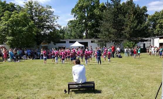 Vom Tag der Vereine Artern (Foto: J&ouml;rg Schlottmann)