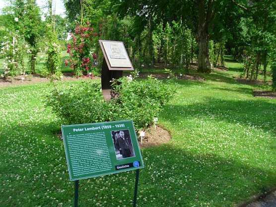 WB 4 besuchte Europa-Rosarium Sangerhausen (Foto: Thomas Leipold) WB 4 besuchte Europa-Rosarium Sangerhausen (Foto: Thomas Leipold)