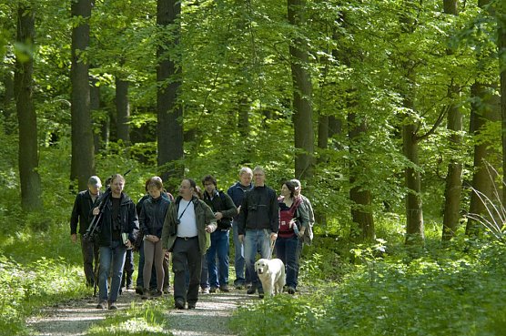 Veranstaltungstipps Hohe Schrecke (Foto: Touristinformation Wiehe)