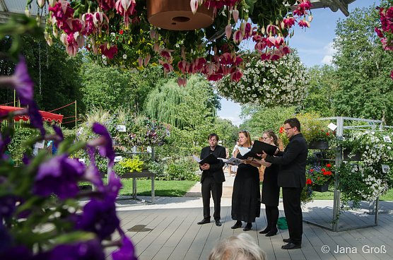 Siebenstündiger Auftritt aller fünf Landesjugendensembles (Foto: Jana Groß) Siebenstündiger Auftritt aller fünf Landesjugendensembles (Foto: Jana Groß)