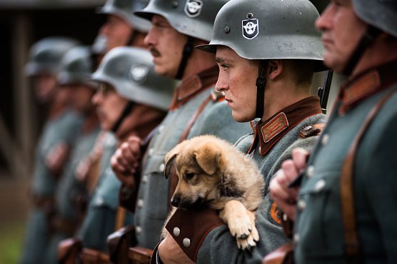 Unser letzter Sommer (Foto: Farbfilm)
