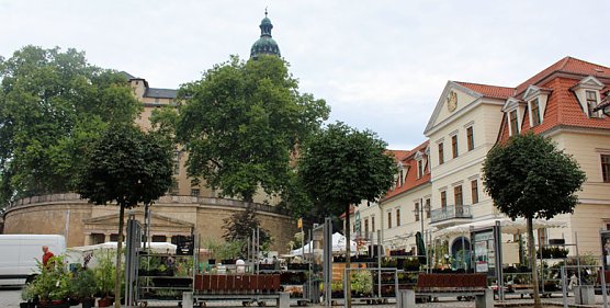 Sondersh&auml;user Blumen-, Pflanzen- und Staudenmarkt (Foto: Karl-Heinz Herrmann)