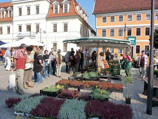 Planzenmarkt in Sondershausen (Foto: Karl-Heinz Herrmann)