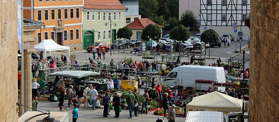 Pflanzenmarkt in Sondershausen (Foto: Karl-Heinz Herrmann)
