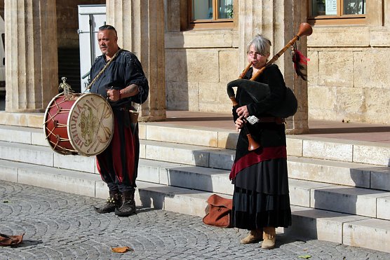 Pflanzenmarkt in Sondershausen (Foto: Karl-Heinz Herrmann)