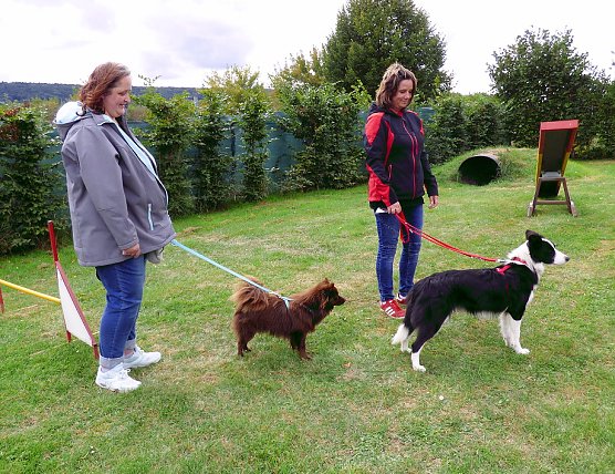 10. Frankenhisser Hundetag ist Geschichte (Foto: Olivia Heinzel)