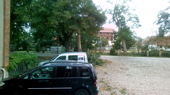 Umgefallene B&auml;ume (Foto: Radio Artern)