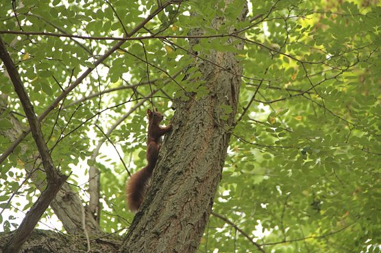 Wetterbild (Foto: Angelo Glashagel) Wetterbild (Foto: Angelo Glashagel)