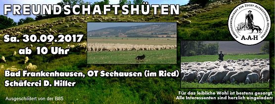 14. Freundschaftsh&uuml;ten in Seehausen (Foto: Dietmar Hiller)