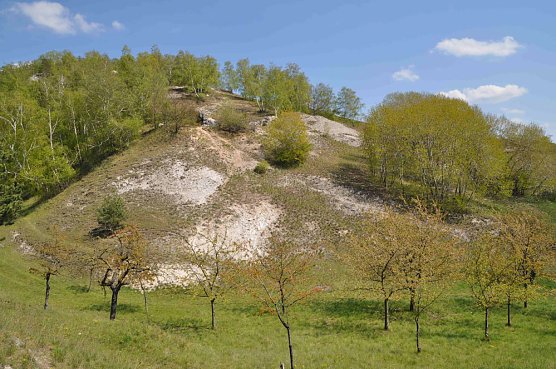 Europ&auml;ische Schutzgebiete in der Kyffh&auml;userregion (Foto: Regionalmuseum / Dieter Jumtow)