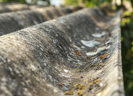 Mehr Asbestsanierungen im Kyffh&auml;userkreis gefordert (Foto: IG Bau)