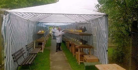 RGZV Bad Frankenhausen  (Foto: RGZV Bad Frankenhausen )