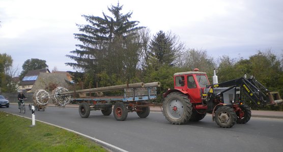 Neue Storchennester in Seehausen (Foto: Susann B&ouml;hme)