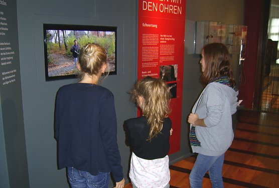 Neues von den Flederm&auml;usen der Kyffh&auml;userregion (Foto: Regionalmuseum Bad Frankenhausen)