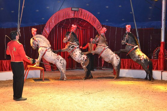 Eine Reise ins Traumland� (Foto: Zirkus)