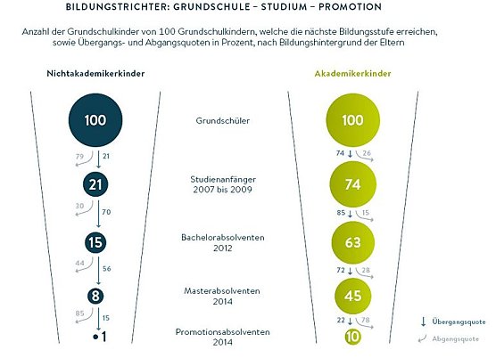Grafik (Foto: Hochschul-Bildungs-Report)