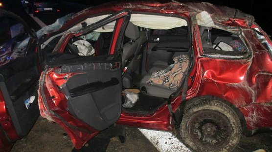 Ford (Foto: Autobahnpolizei)