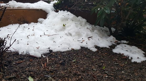 Wetterbild (Foto: nnz)