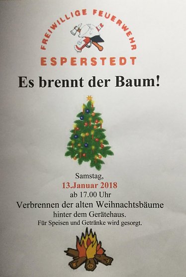 Es brennt der Baum (Foto: privat)