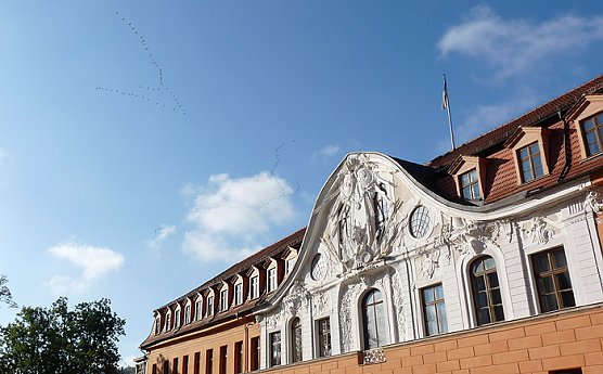 Kranischflug (Foto: Karl-Heinz Herrmann) Kranischflug (Foto: Karl-Heinz Herrmann)