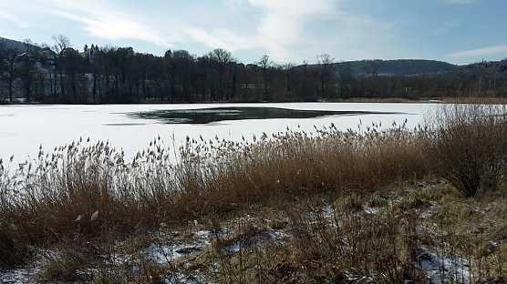 Eisflächen noch nicht betreten! (Foto: Karl-Heinz Herrmann) Eisflächen noch nicht betreten! (Foto: Karl-Heinz Herrmann)
