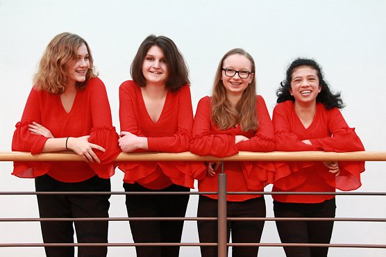 Streicher im Konzert (Foto: Th&uuml;ringer Landesmusikakademie)