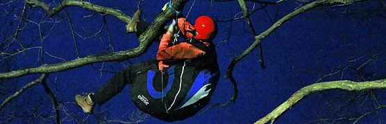 Gleitschirmflieger auf Baum (Foto: Silvio Dietzel)