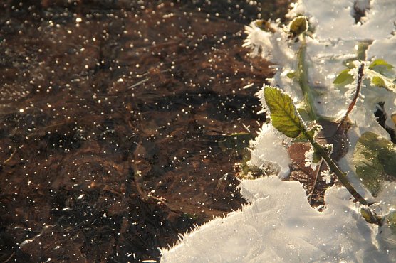 Wetterbild (Foto: Angelo Glashagel)